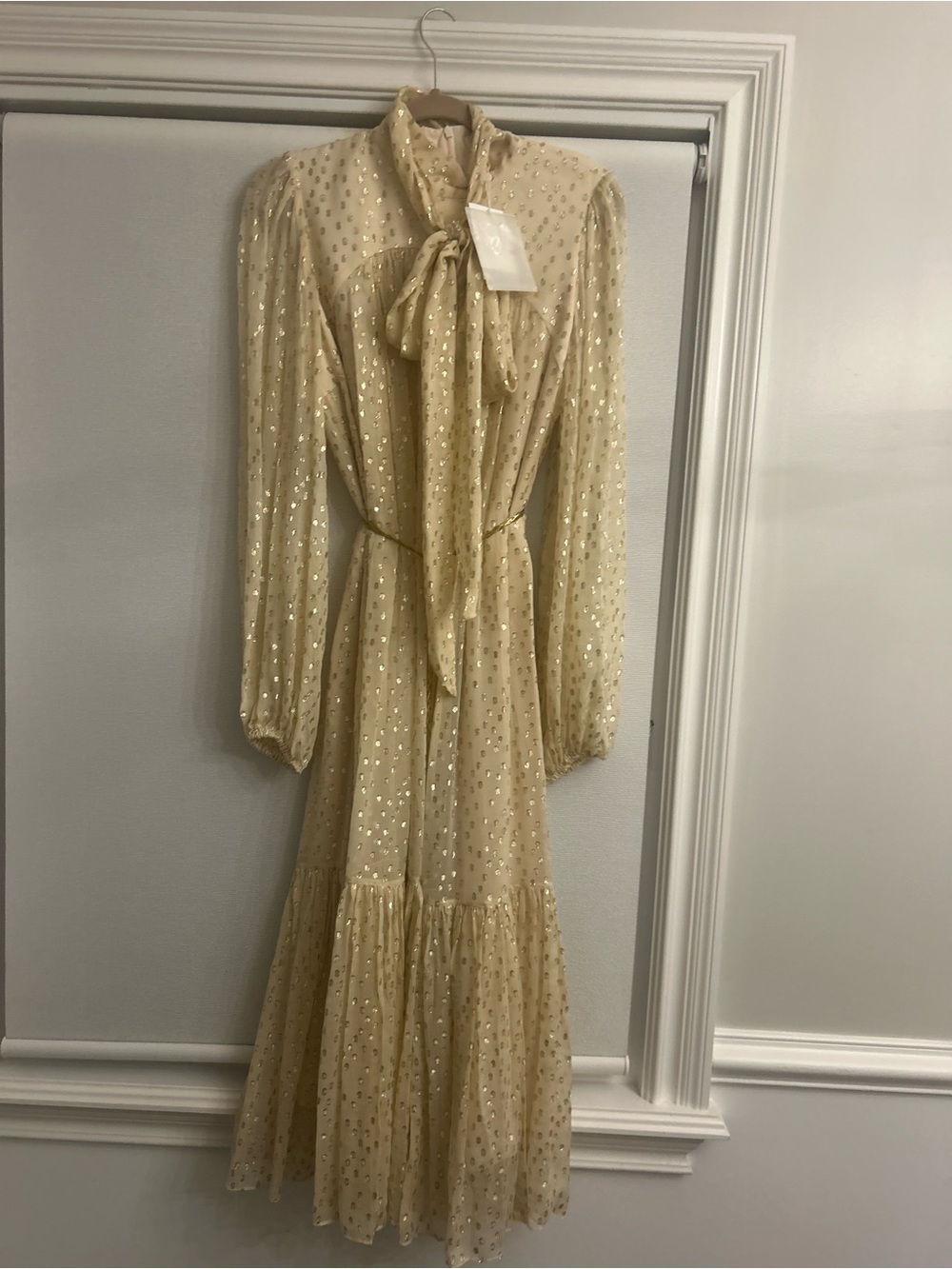 Elegant Cream Long-Sleeve Tie-Neck Maxi Dress with a gold belt